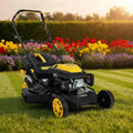 Kraftvoller Benzin-Rasenmäher mit 4,4 kW Motor, 53 cm Schnittbreite und 7 Höhenstufen