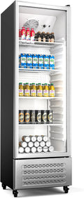Klarstein Kühlschrank, 306 L, 0 bis 10 °C, Energieklasse B, LED-Beleuchtung, Thermostat, 4 Räder, Klarstein GrandCooler 306L Getränkekühlschrank